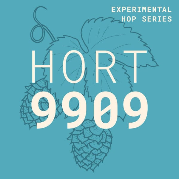 HORT 9909 Pilsner