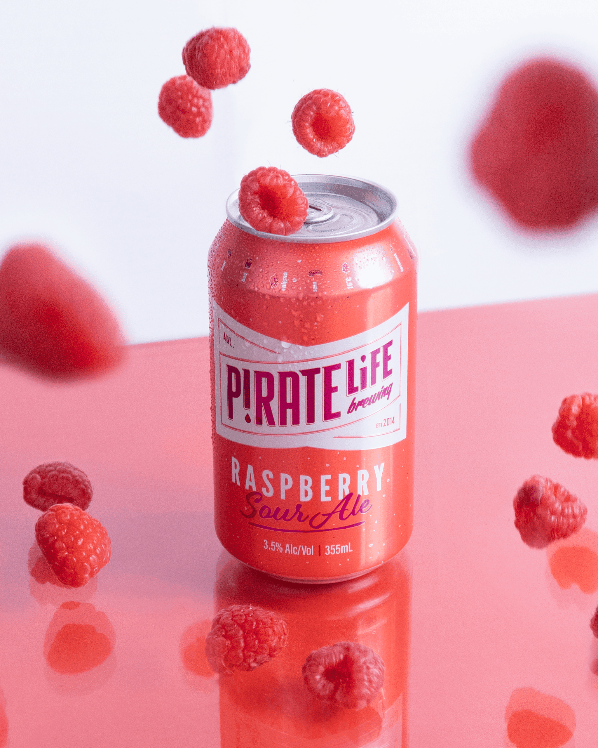 RaspberrySourAle-Web_Large